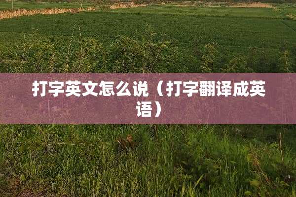 打字英文怎么说（打字翻译成英语）