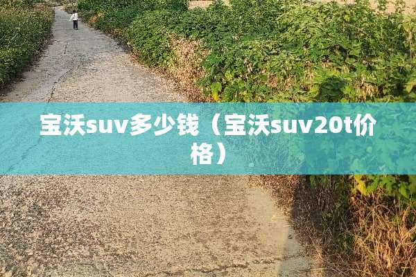 宝沃suv多少钱（宝沃suv20t价格）