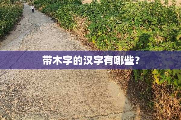 带木字的汉字有哪些？