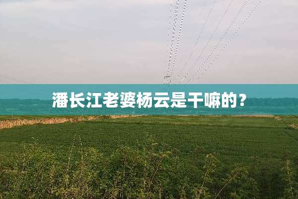 潘长江老婆杨云是干嘛的？