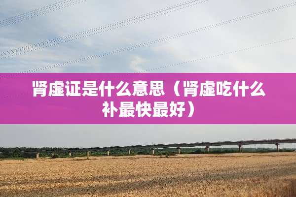 肾虚证是什么意思（肾虚吃什么补最快最好）