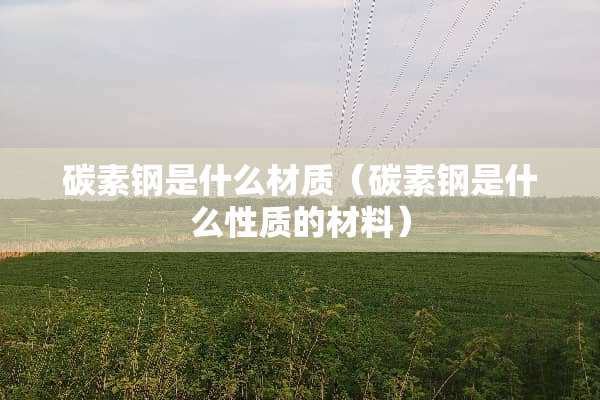 碳素钢是什么材质（碳素钢是什么性质的材料）