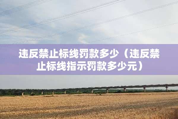 违反禁止标线罚款多少（违反禁止标线指示罚款多少元）