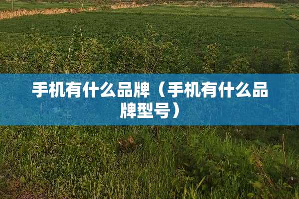 手机有什么品牌（手机有什么品牌型号）