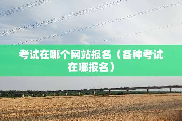 考试在哪个网站报名（各种考试在哪报名）