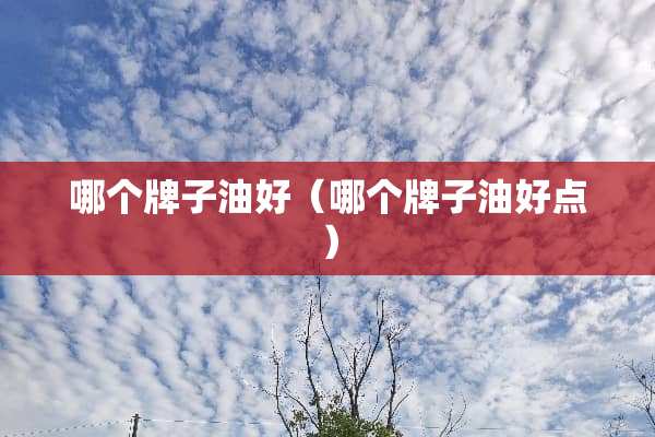 哪个牌子油好（哪个牌子油好点）