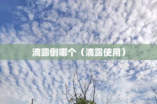 滴露倒哪个（滴露使用）