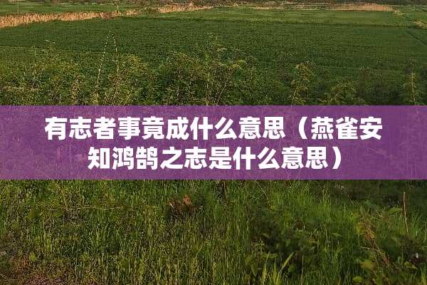 有志者事竟成什么意思（燕雀安知鸿鹄之志是什么意思）