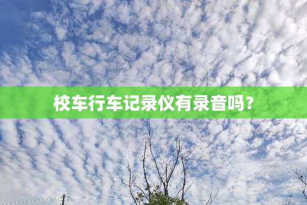 校车行车记录仪有录音吗？