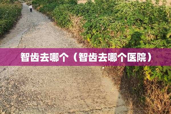 智齿去哪个（智齿去哪个医院）