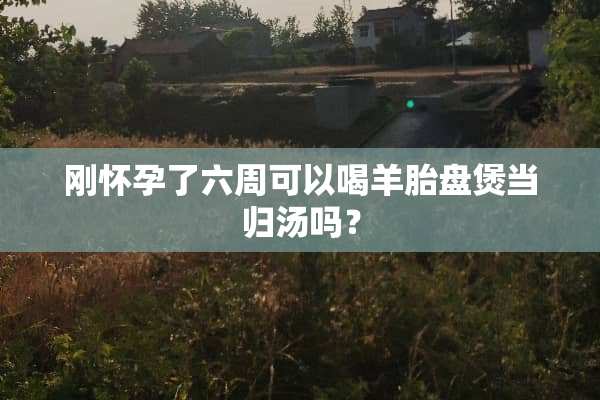 刚怀孕了六周可以喝羊胎盘煲当归汤吗？