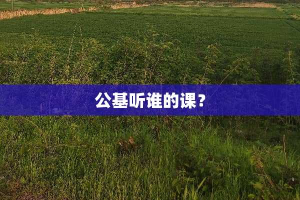 公基听谁的课？