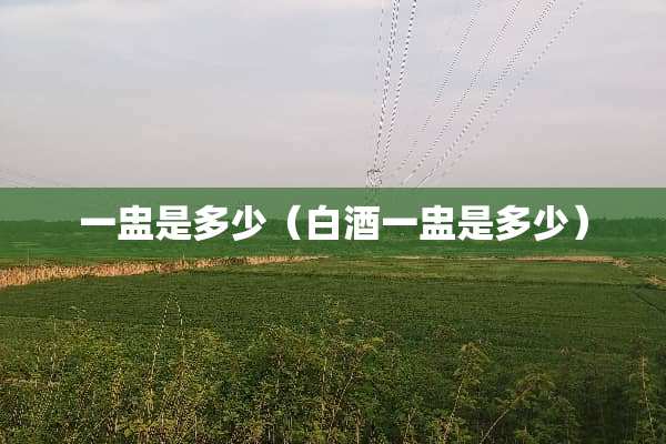 一盅是多少（白酒一盅是多少）