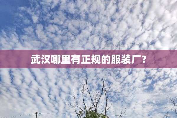 武汉哪里有正规的服装厂？