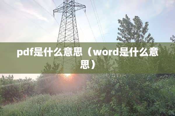 pdf是什么意思（word是什么意思）
