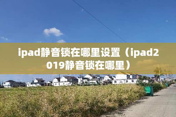 ipad静音锁在哪里设置（ipad2019静音锁在哪里）