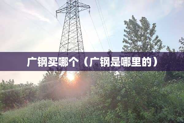 广钢买哪个（广钢是哪里的）