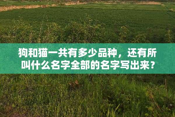 狗和猫一共有多少品种，还有所叫什么名字全部的名字写出来？
