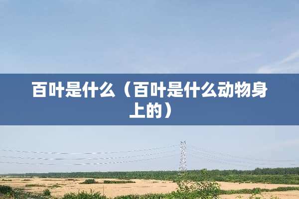 百叶是什么（百叶是什么动物身上的）