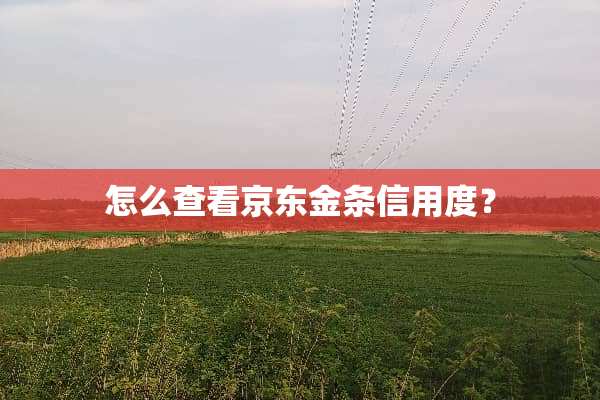 怎么查看京东金条信用度？