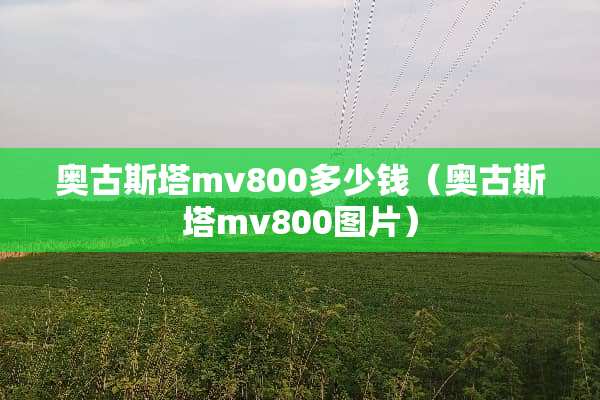 奥古斯塔mv800多少钱（奥古斯塔mv800图片）