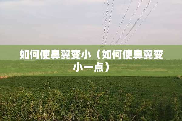 如何使鼻翼变小（如何使鼻翼变小一点）