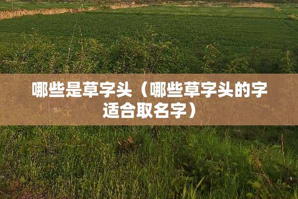 哪些是草字头（哪些草字头的字适合取名字）