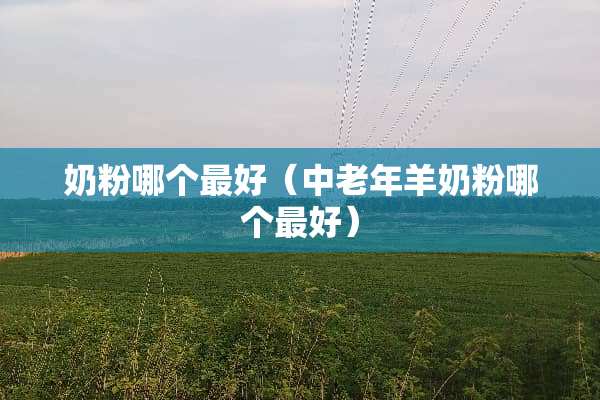 奶粉哪个最好（中老年羊奶粉哪个最好）