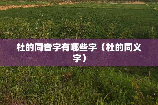 杜的同音字有哪些字（杜的同义字）