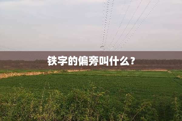 铁字的偏旁叫什么？