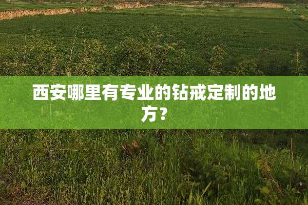 西安哪里有专业的钻戒定制的地方？