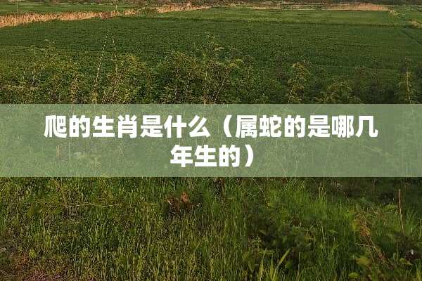 爬的生肖是什么（属蛇的是哪几年生的）