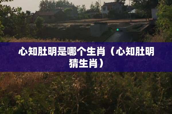 心知肚明是哪个生肖（心知肚明猜生肖）