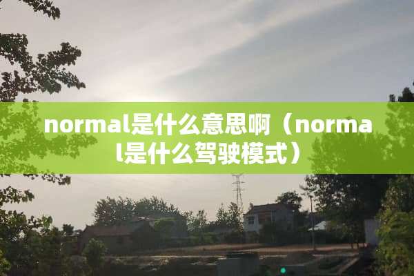 normal是什么意思啊（normal是什么驾驶模式）