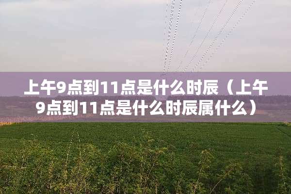 上午9点到11点是什么时辰（上午9点到11点是什么时辰属什么）