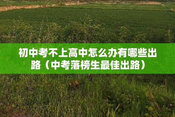 初中考不上高中怎么办有哪些出路（中考落榜生最佳出路）