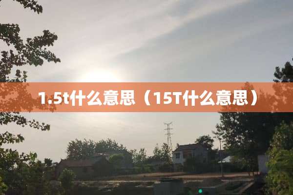 1.5t什么意思（15T什么意思）