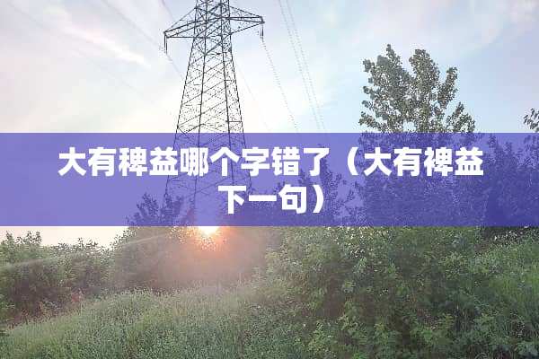 大有稗益哪个字错了（大有裨益下一句）