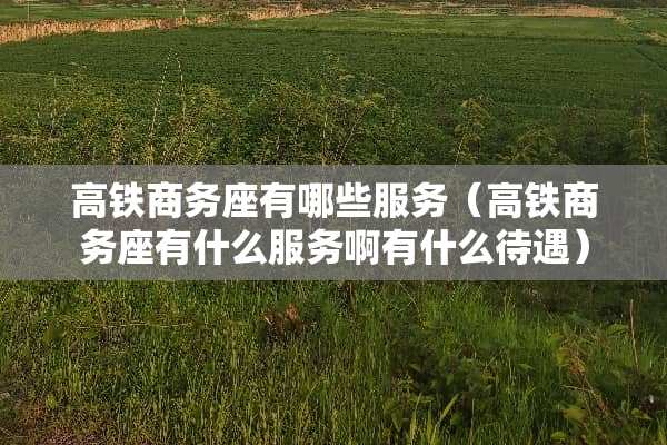 高铁商务座有哪些服务（高铁商务座有什么服务啊有什么待遇）