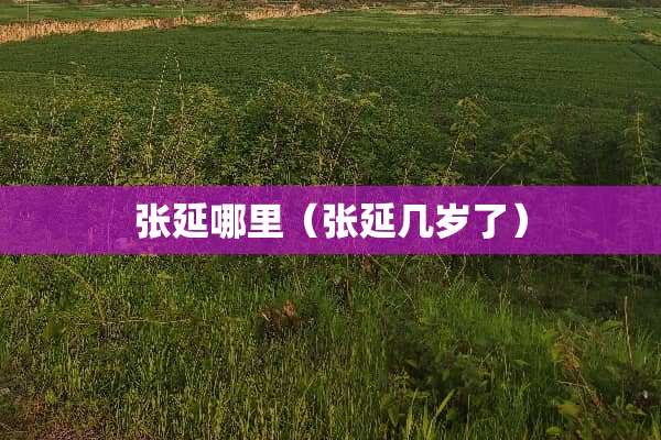 张延哪里（张延几岁了）