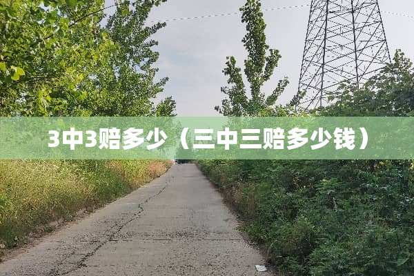 3中3赔多少（三中三赔多少钱）