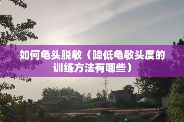 如何**脱敏（降低龟敏头度的训练方法有哪些）