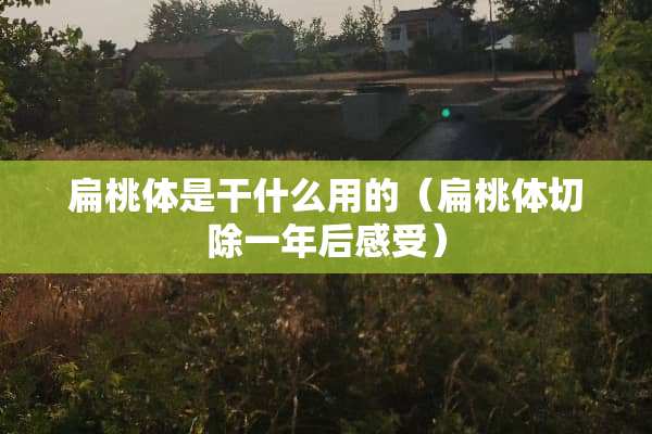 扁桃体是干什么用的（扁桃体切除一年后感受）