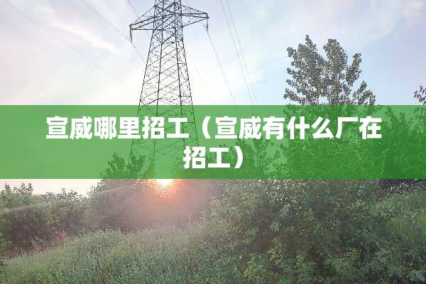 宣威哪里招工（宣威有什么厂在招工）