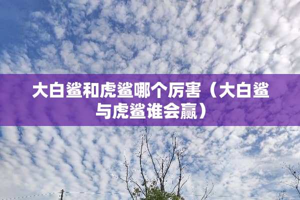 大白鲨和虎鲨哪个厉害（大白鲨与虎鲨谁会赢）
