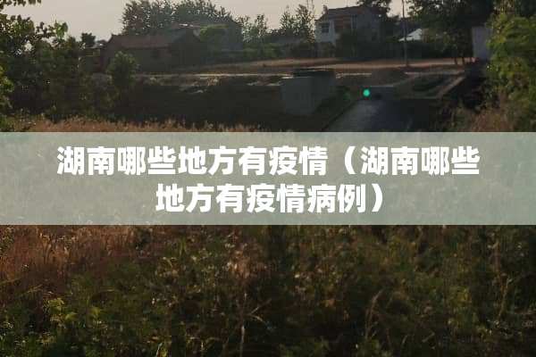 湖南哪些地方有疫情（湖南哪些地方有疫情病例）
