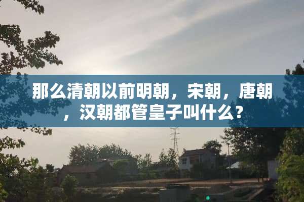 那么清朝以前明朝，宋朝，唐朝，汉朝都管皇子叫什么？