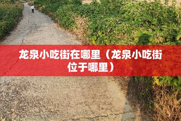 龙泉小吃街在哪里（龙泉小吃街位于哪里）