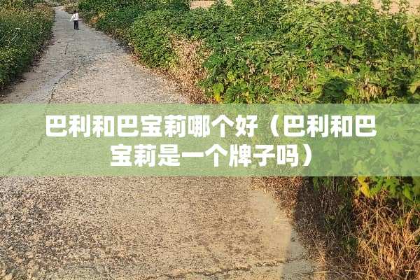 巴利和巴宝莉哪个好（巴利和巴宝莉是一个牌子吗）