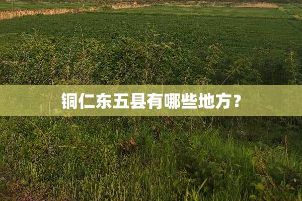 铜仁东五县有哪些地方？